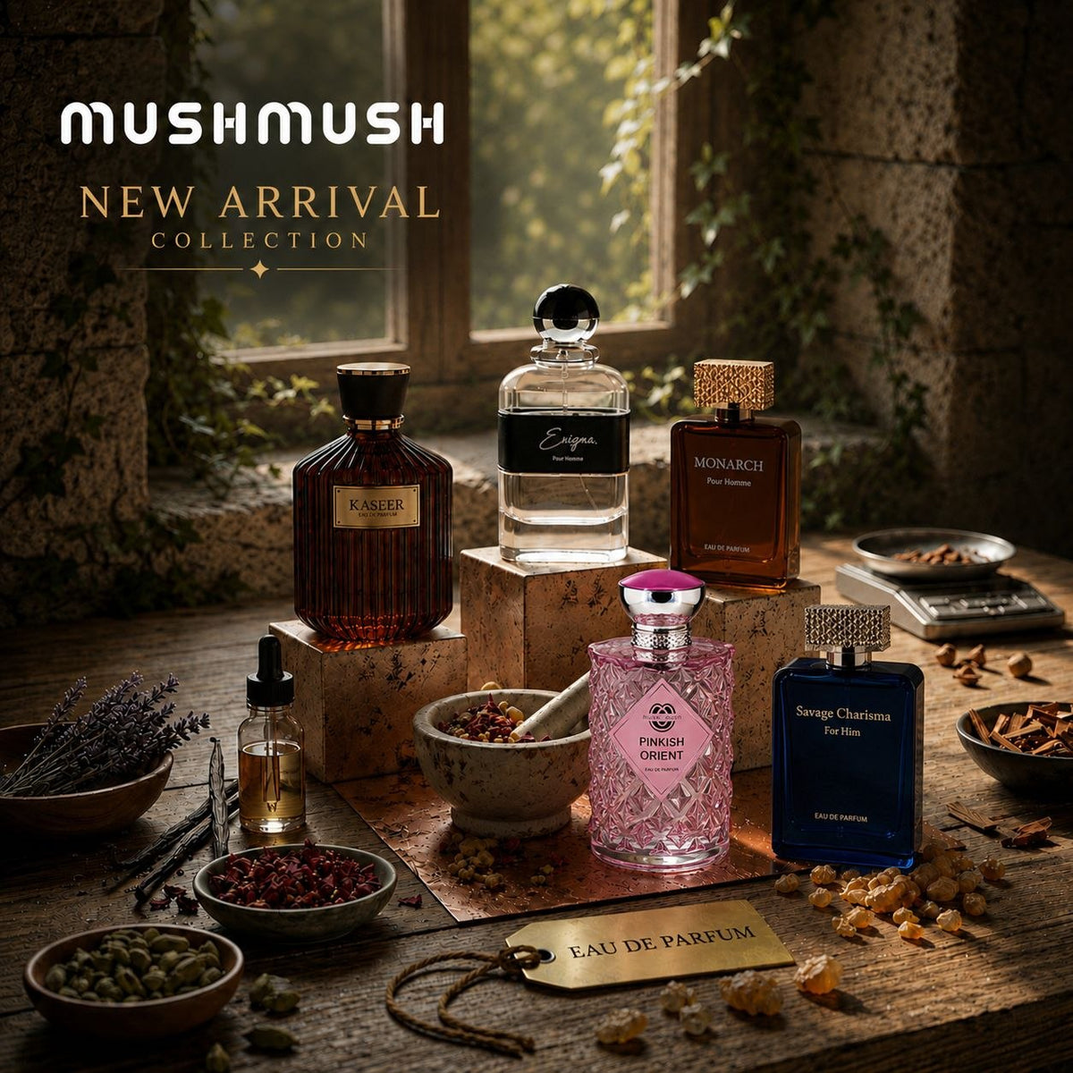 New Arrival